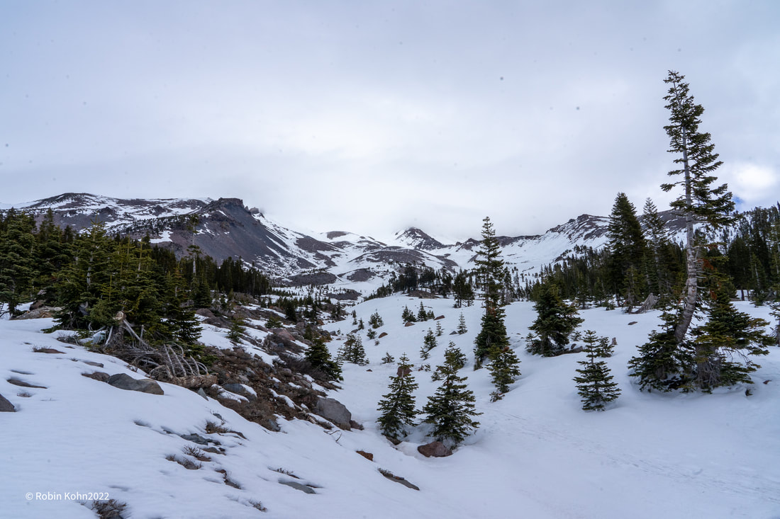 Mt. Shasta, Avalanche Gulch, Valentine Avalanche, Snow