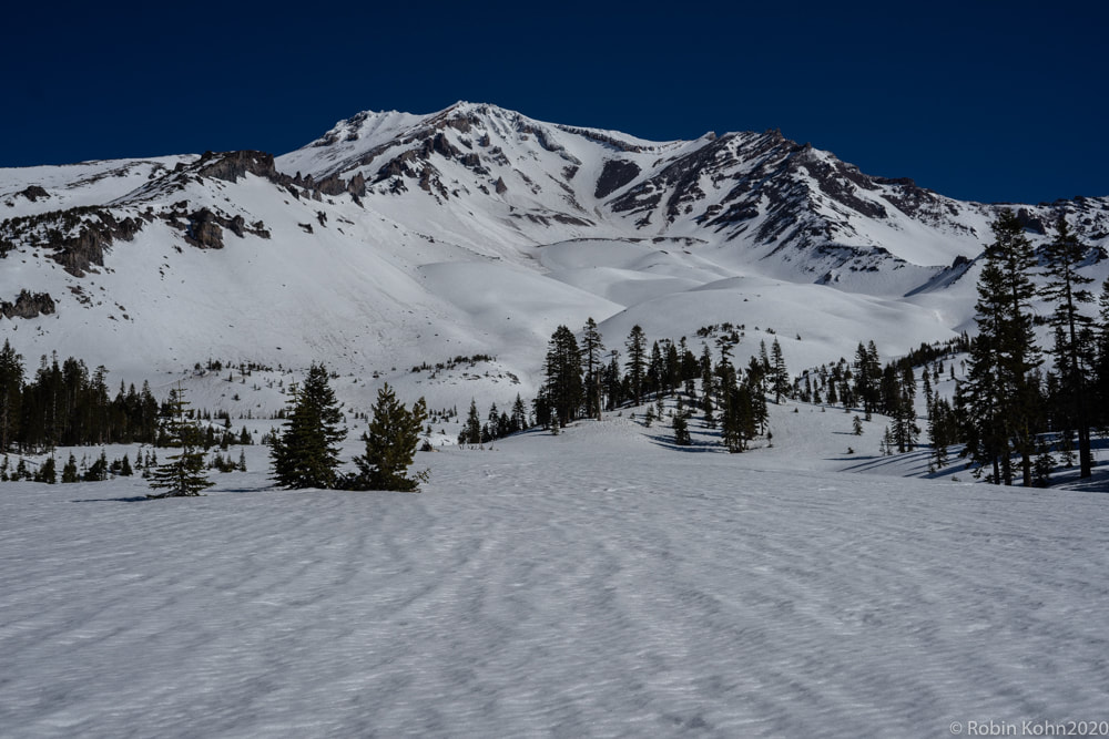Mt. Shasta, Snow, Snowshoeing, Skiing