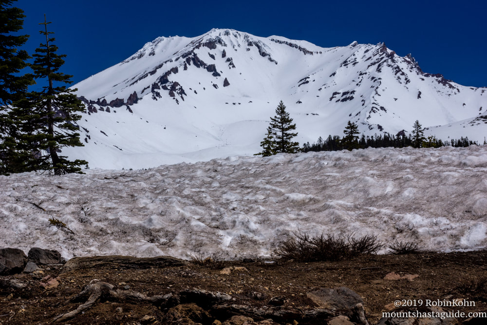 Mt. Shasta, Avalanche Gulch, Snow, Bunny Flat