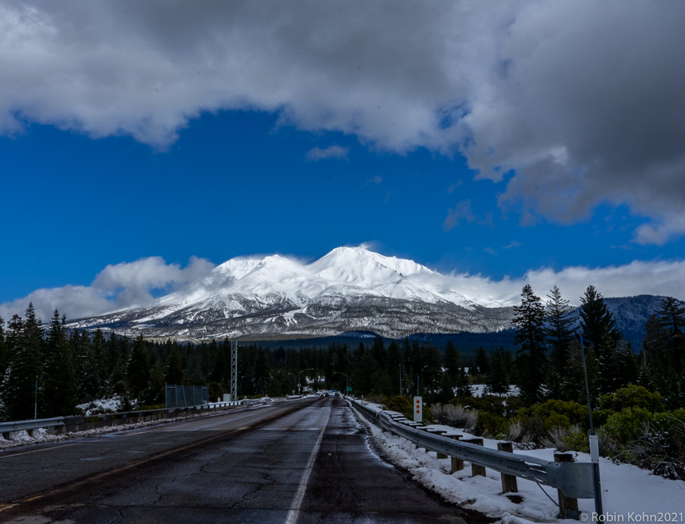 Mt. Shasta, snow, storm, snowshoeing, tours, scenery