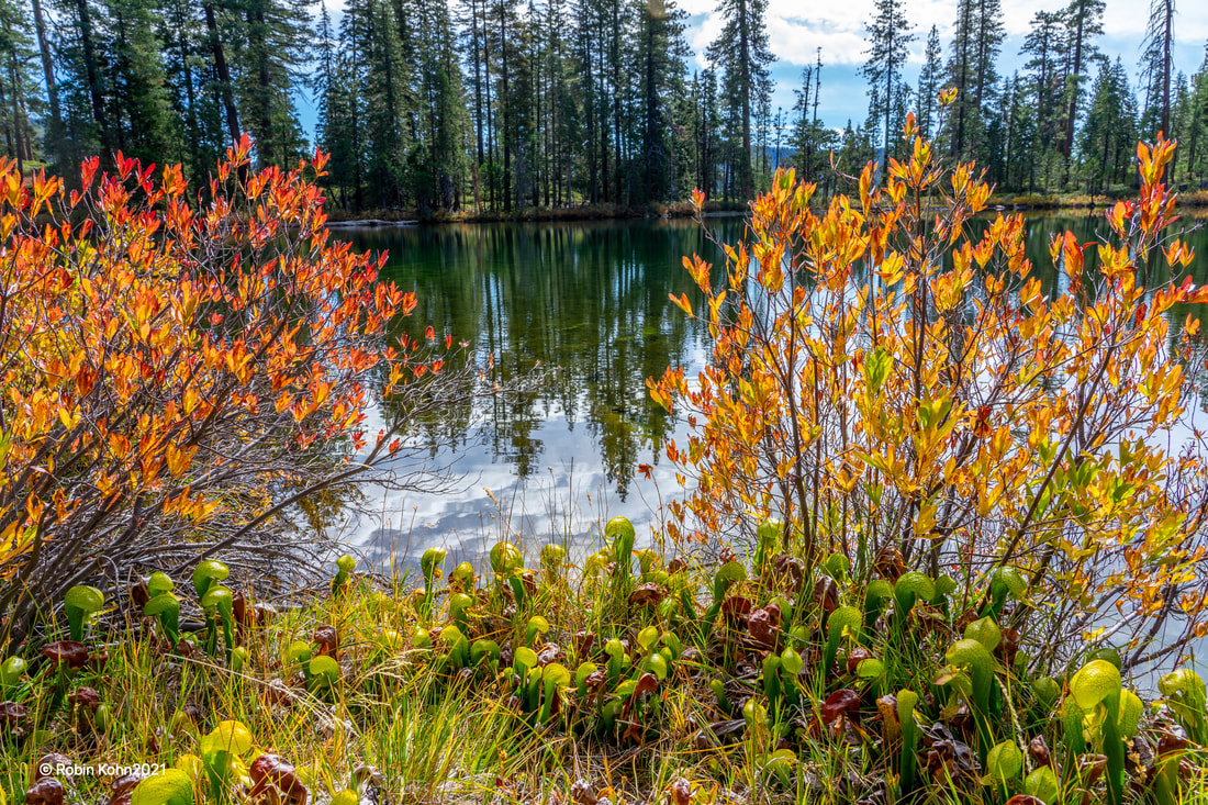 Mt. Shasta, lake, autumn, colors, hike